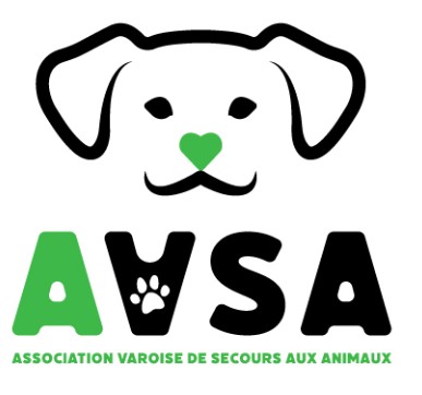 AVSA Logo